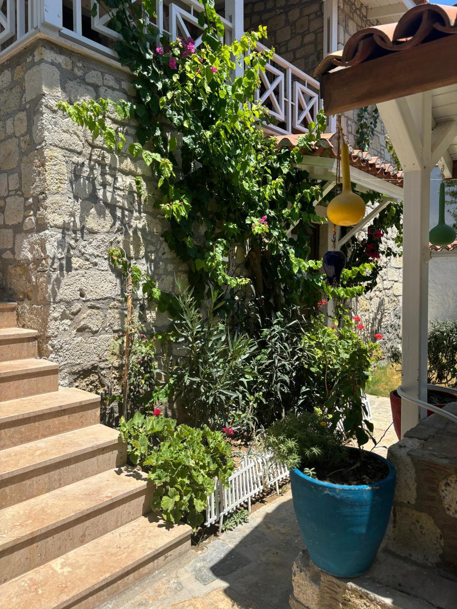 Tasdelen Hotel ألاتشاتي المظهر الخارجي الصورة